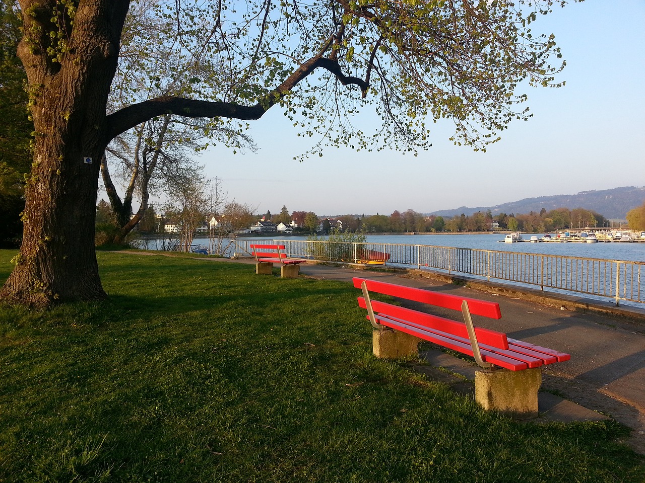 明了自己 明了自己