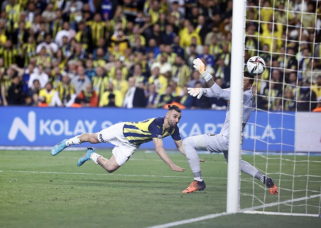 新的主帥能 新的主帥能