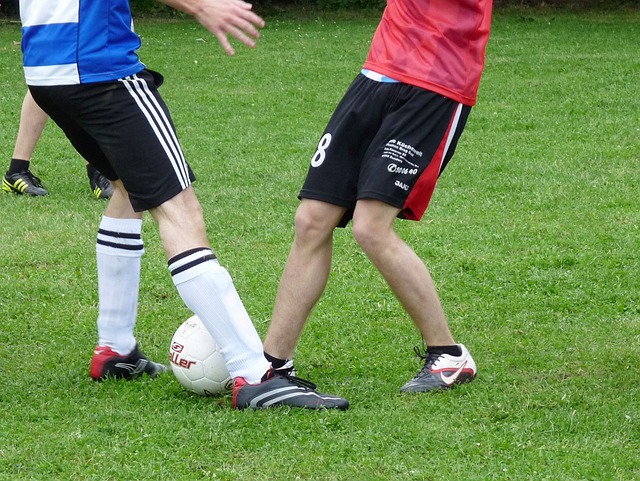 在竞技体育 在竞技体育